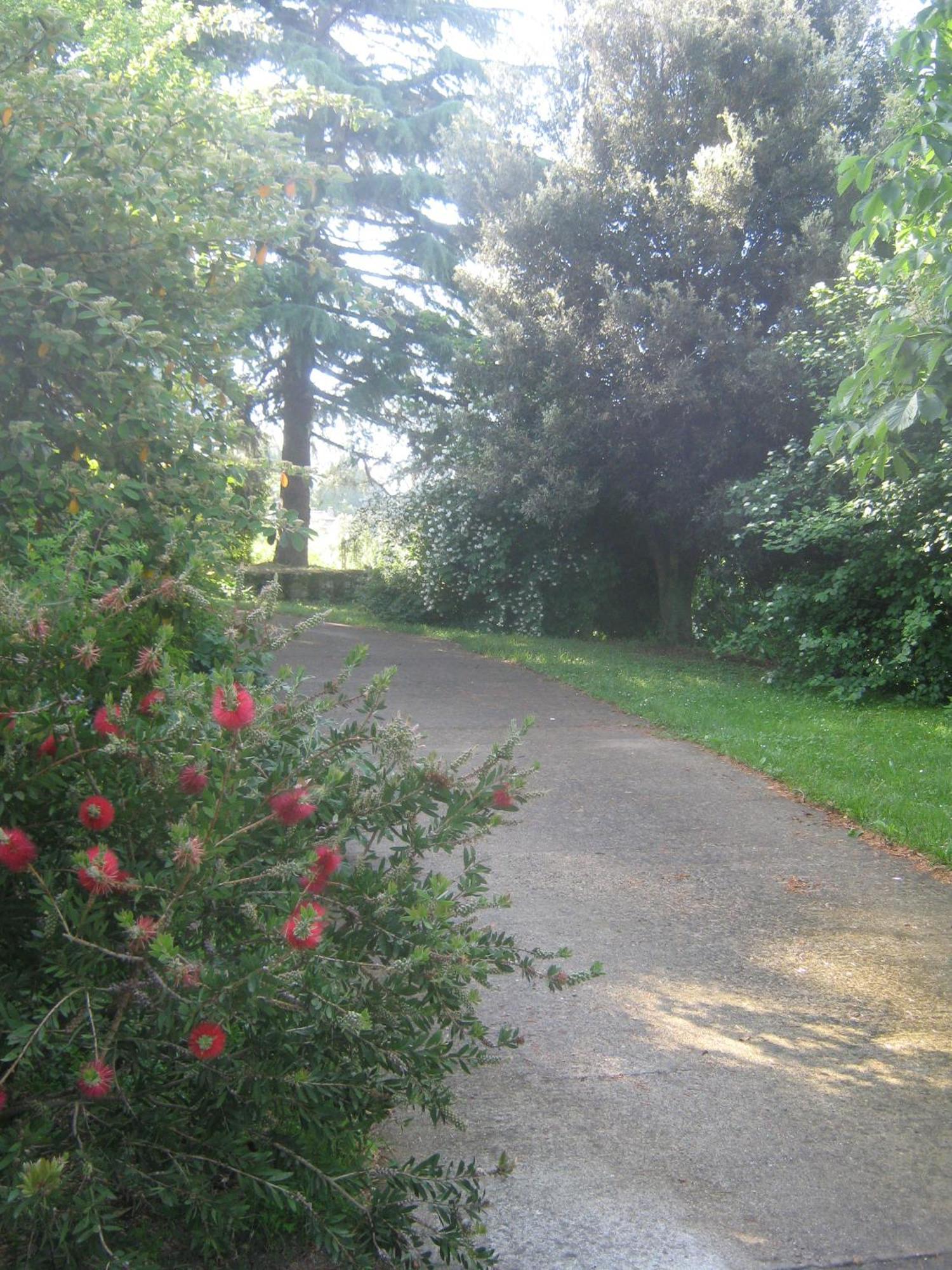 La Villa Di Lucia Viterbo Buitenkant foto