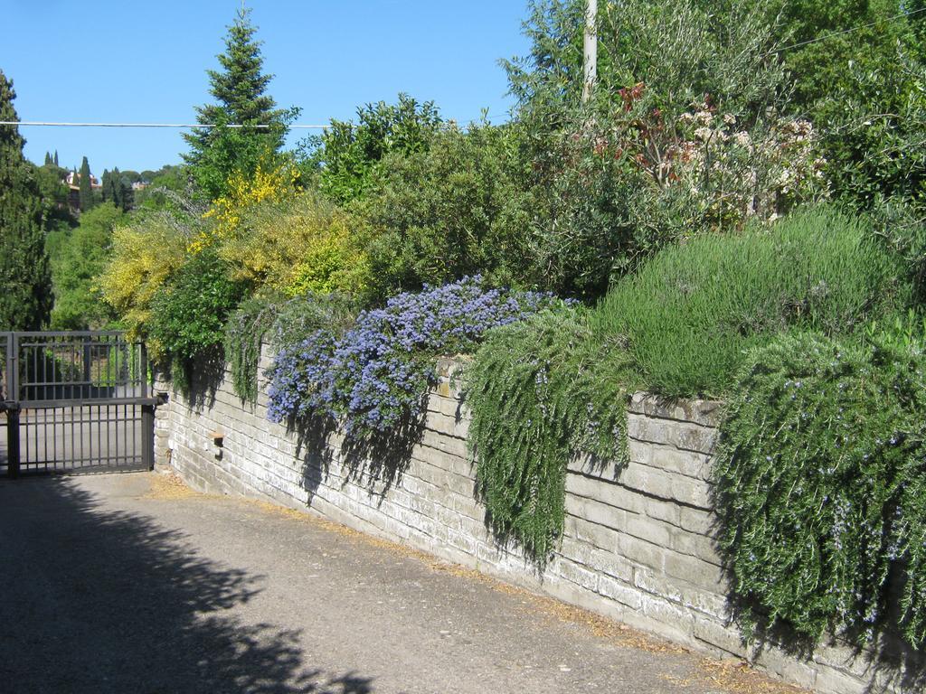 La Villa Di Lucia Viterbo Buitenkant foto