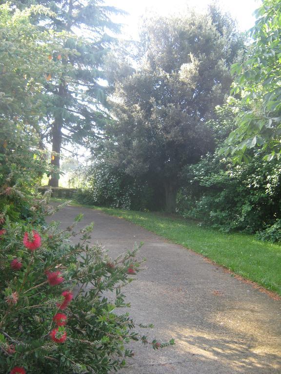 La Villa Di Lucia Viterbo Buitenkant foto