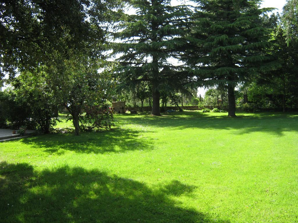 La Villa Di Lucia Viterbo Kamer foto